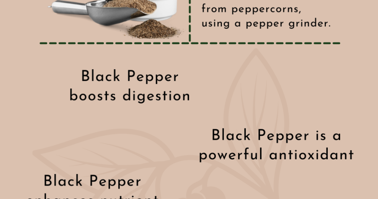 Black Pepper Heath Benefits: The King of Spices