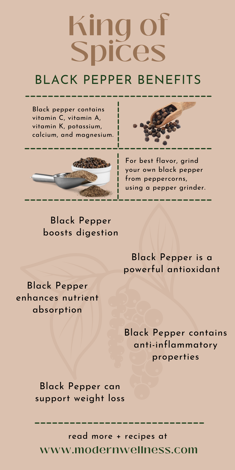 Black Pepper Heath Benefits: The King of Spices